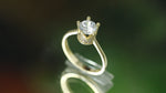 Load and play video in Gallery viewer, 14K Solid Gold Crown Ring Y252