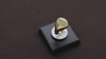 Load and play video in Gallery viewer, 14K Solid Gold Oval Signet Ring Y171