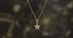 Load and play video in Gallery viewer, 14K Solid Gold Star Necklace K107
